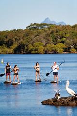 STANDUP PADDLE BOARD LESSON (SUP)